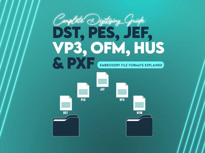 Complete Digitizing Guide: DST, PES, JEF, VP3, OFM, HUS & PXF Embroidery File Formats Explained